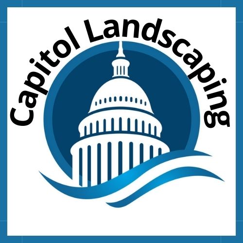 Capitol Landscaping